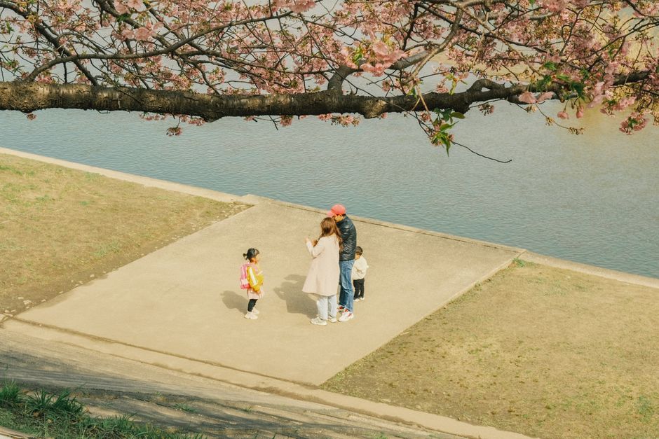 日本の岡崎で川のそばにある桜の下に集まる家族。